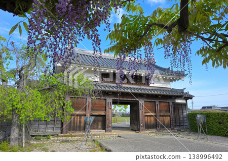 西尾市歷史公園的紫藤 西尾市歷史公園的紫藤 138996492