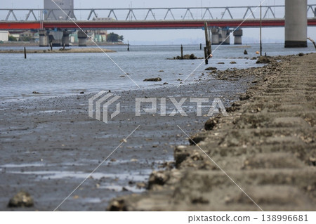 The tidal flats of the Edogawa floodway and the vast wetland landscape near the Ichikawa Bridge and the river mouth. 138996681
