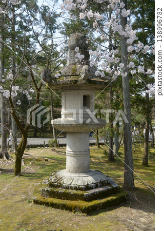 Springtime at Nanzenji Temple: The large stone lantern in front of the main gate, Nanzenji Fukuchi-cho, Sakyo-ku, Kyoto City Springtime at Nanzenji Temple: The large stone lantern in front of the main gate, Nanzenji Fukuchi-cho, Sakyo-ku, Kyoto City 138996782
