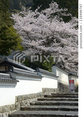 春天的南禪寺櫻花，京都市左京區南禪寺福知町南禪寺 138996787
