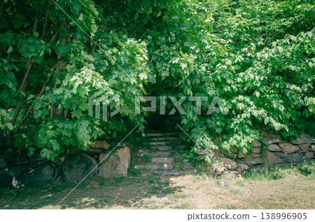 A landscape of old stone steps and stone walls surrounded by lush green trees. A landscape of old stone steps and stone walls surrounded by lush green trees. 138996905