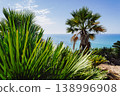 A tropical landscape with the blue sea and clear sky seen through vibrant green palm trees. 138996908