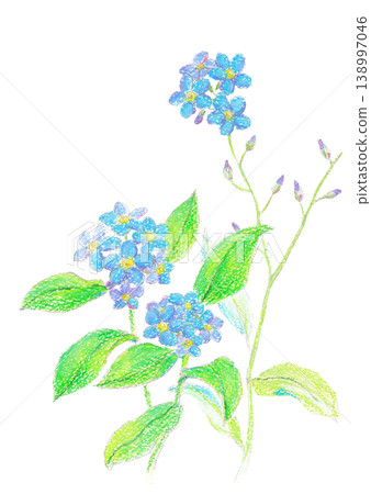 Forget-me-nots drawn with crayons 138997046