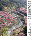 日本第一桃花天堂 138997092