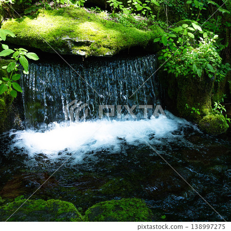 北海道東川町大雪山旭岳泉的夏日景象，泉水中充滿了負離子。 138997275