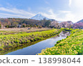 (Yamanashi Prefecture) Cherry blossoms, daffodils, and Mount Fuji along the Shinmeisho River in Oshino Village 138998044