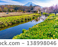 (Yamanashi Prefecture) Cherry blossoms, daffodils, and Mount Fuji along the Shinmeisho River in Oshino Village 138998046