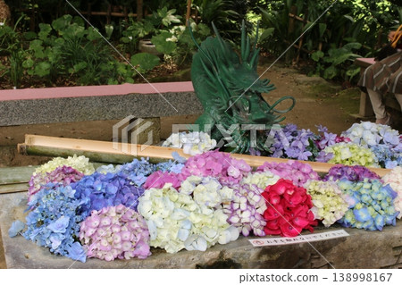 水池邊的繡球花盛開 水池邊的繡球花盛開 138998167