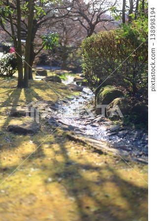 一條水道流經春園 一條水道流經春園 138998194