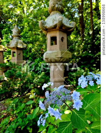 Hydrangeas and lanterns blooming in a break in the rainy season 138998668