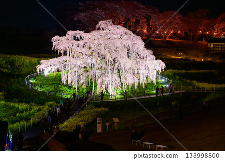 The Miharu Takizakura, one of Japan's three greatest cherry trees, is illuminated at night, creating a fantastical scene as the magnificent tree in full bloom is bathed in light. (Fukushima Prefecture) The Miharu Takizakura, one of Japan's three greatest cherry trees, is illuminated at night, creating a fantastical scene as the magnificent tree in full bloom is bathed in light. (Fukushima Prefecture) 138998800