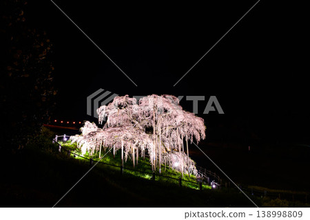The empty space of crimson weeping cherry blossoms dancing in the night sky, the illuminated Miharu Takizakura cherry tree and nighttime copy space, Fukushima Prefecture The empty space of crimson weeping cherry blossoms dancing in the night sky, the illuminated Miharu Takizakura cherry tree and nighttime copy space, Fukushima Prefecture 138998809