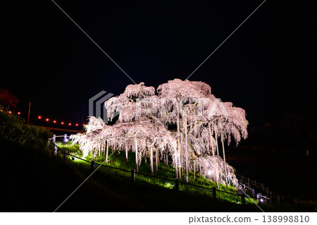 Night cherry blossoms and upper left margin: Background material for the Miharu Takizakura light-up; Copy space for design. Night cherry blossoms and upper left margin: Background material for the Miharu Takizakura light-up; Copy space for design. 138998810