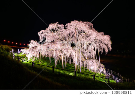 The graceful curves of the weeping cherry tree flowing across the night sky; the elegant sight of the illuminated Miharu Takizakura cherry tree. The graceful curves of the weeping cherry tree flowing across the night sky; the elegant sight of the illuminated Miharu Takizakura cherry tree. 138998811