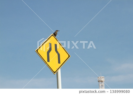 A road sign indicating a reduction in the number of lanes where a Blue Rock Thrush is perched, against a blue sky. A road sign indicating a reduction in the number of lanes where a Blue Rock Thrush is perched, against a blue sky. 138999080