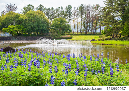 木曾三千公園內的盧平努斯之家和噴泉（岐阜縣海津市木曾三千公園中心） 138999087