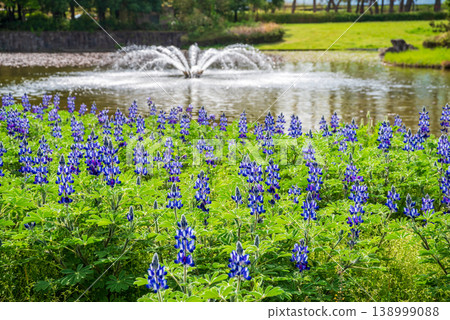 木曾三千公園內的盧平努斯之家和噴泉（岐阜縣海津市木曾三千公園中心） 138999088