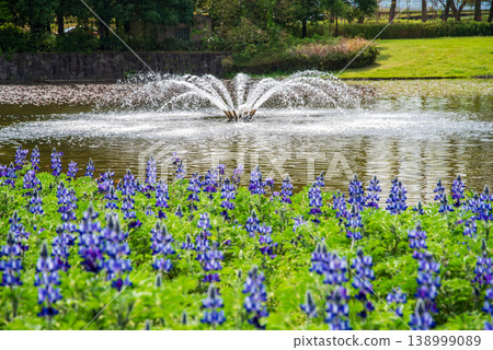 木曾三千公園內的盧平努斯之家和噴泉（岐阜縣海津市木曾三千公園中心） 138999089