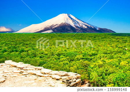 Yucatan Peninsula rainforest and Mt. Fuji combined 138999148
