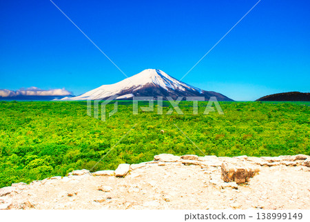 尤卡坦半島雨林和富士山的結合 尤卡坦半島雨林和富士山的結合 138999149