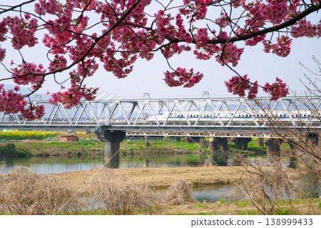 Cherry blossoms along the Katsura River embankment and the Shinkansen bullet train Cherry blossoms along the Katsura River embankment and the Shinkansen bullet train 138999433