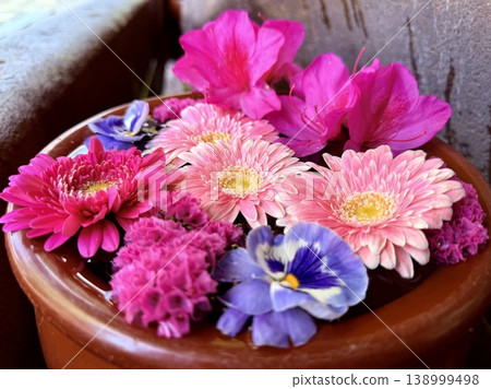 Colorful flower arrangements in the water basin in April (gerberas, pansies, azaleas, carnations) <Sugao Shrine/Okazaki City, Aichi Prefecture> Colorful flower arrangements in the water basin in April (gerberas, pansies, azaleas, carnations) <Sugao Shrine/Okazaki City, Aichi Prefecture> 138999498