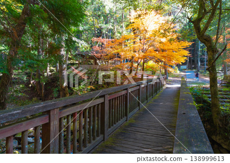 Late autumn scenery around Jakuchi Gorge Campsite 1, Iwakuni City, Yamaguchi Prefecture Late autumn scenery around Jakuchi Gorge Campsite 1, Iwakuni City, Yamaguchi Prefecture 138999613