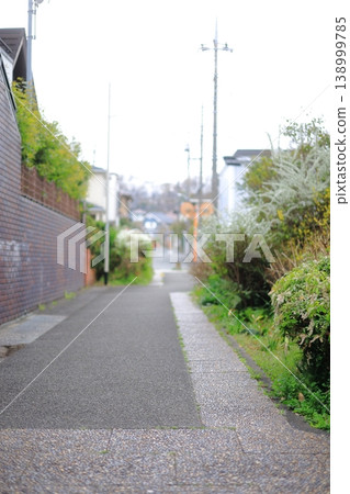 A straight path in a residential area A straight path in a residential area 138999785