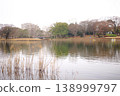 A park with a pond on a cloudy day 138999797