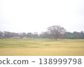 A single tree standing in a winter field 138999798