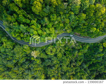 Scenic winding road through dense tropical forest and eco-friendly coastal resorts, promoting sustainable travel. Scenic winding road through dense tropical forest and eco-friendly coastal resorts, promoting sustainable travel. 139000167