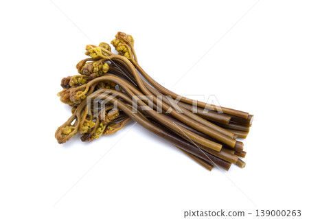 Bracken fern (white background) 139000263