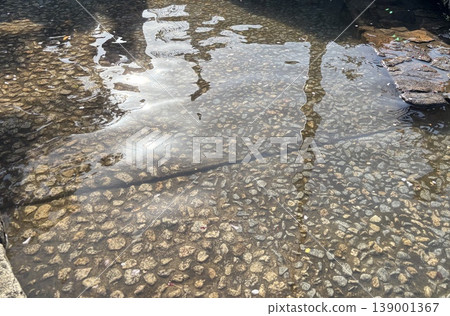 公園水域 139001367