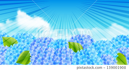 背景圖片展現了湛藍天空下盛開的鮮豔藍色繡球花。 139001908