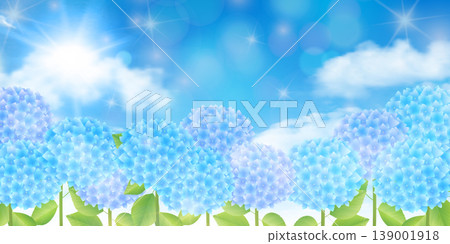 A beautiful landscape of hydrangeas spread out under a blue sky. A beautiful landscape of hydrangeas spread out under a blue sky. 139001918