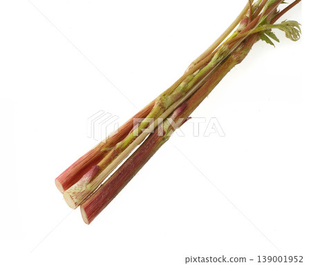 Japanese angelica tree (Yama-udo) - Studio Photography Japanese angelica tree (Yama-udo) - Studio Photography 139001952