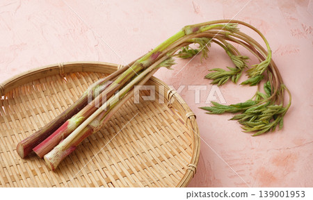 Japanese angelica tree (Yama-udo) - Studio Photography 139001953