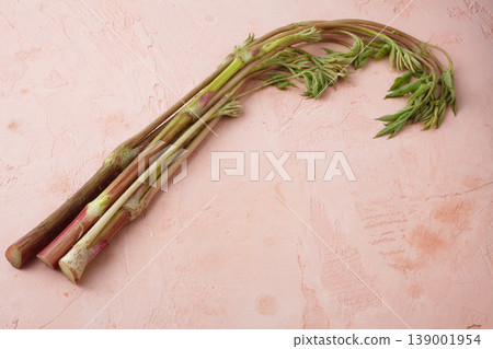 Japanese angelica tree (Yama-udo) - Studio Photography Japanese angelica tree (Yama-udo) - Studio Photography 139001954