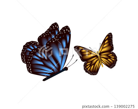 3d illustration of flying butterfly tropical insect with wings on transparent background 139002275