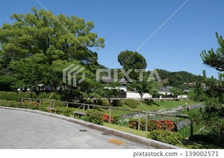 Kikko Iris Garden in Iwakuni 139002571