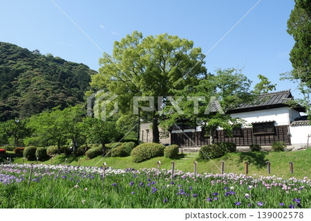Kikko Iris Garden in Iwakuni 139002578