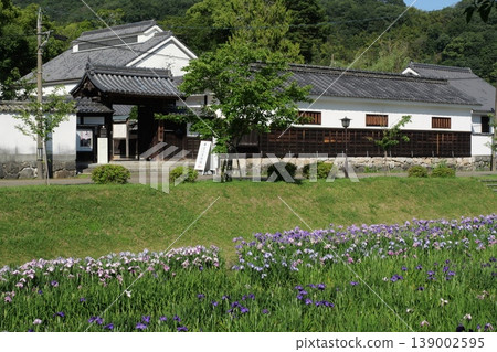 Kikko Iris Garden in Iwakuni Kikko Iris Garden in Iwakuni 139002595