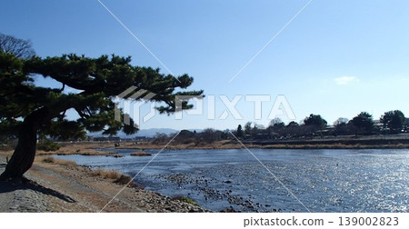 Scenery with pine tree Scenery with pine tree 139002823