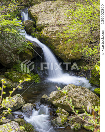 A small waterfall flowing through Ruri Valley A small waterfall flowing through Ruri Valley 139002890