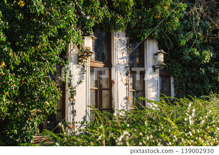 Old European house windows surrounded by dense ivy plants and greenery in quiet small German town Old European house windows surrounded by dense ivy plants and greenery in quiet small German town 139002930