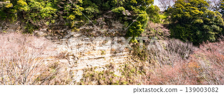 The cliff face of the Yoro Valley in Chiba Prefecture is visible from Okuyoro Bridge. 139003082