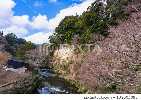 The cliff face of the Yoro Valley in Chiba Prefecture is visible from Okuyoro Bridge. 139003083