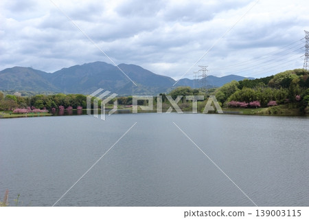 Scenery of the Hinogawa Dam in spring, Shiga Prefecture Scenery of the Hinogawa Dam in spring, Shiga Prefecture 139003115
