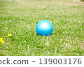 草地上放著一個藍色橡膠球 139003176