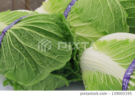 大白菜，新鮮大白菜 139003195